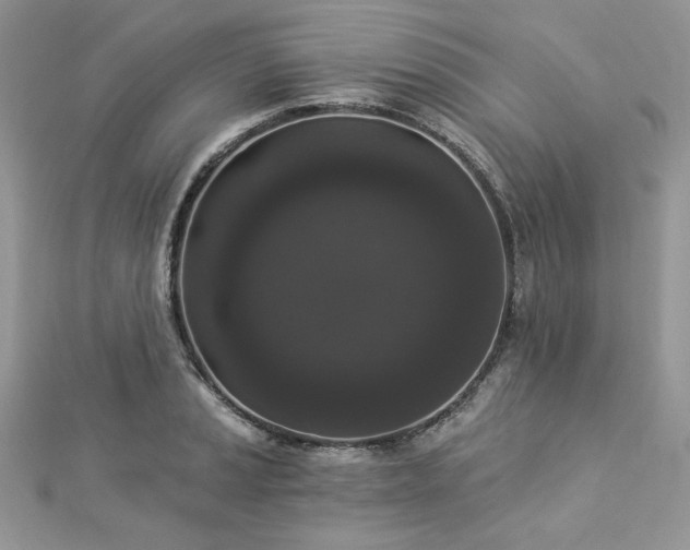 X0000112821037200908211202