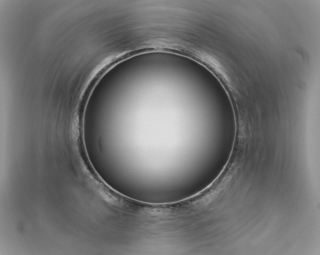 X0000112821040200908211202