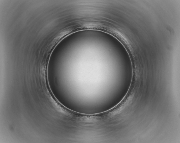 X0000112821041200908211202