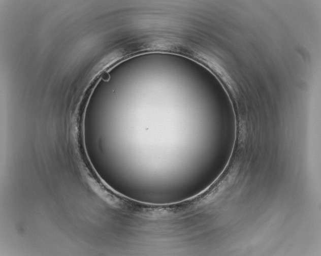 X0000112821042200908211202