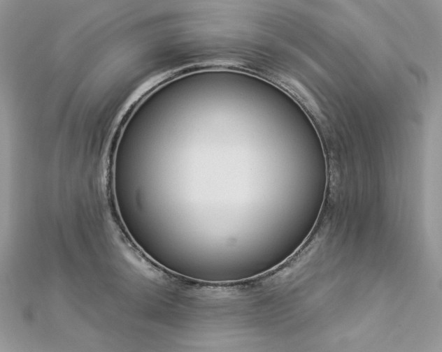 X0000112821044200908211202