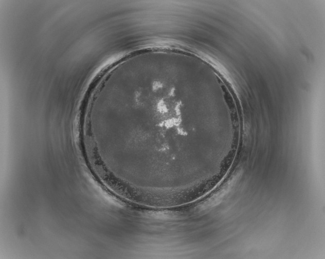 X0000112821045200908211202