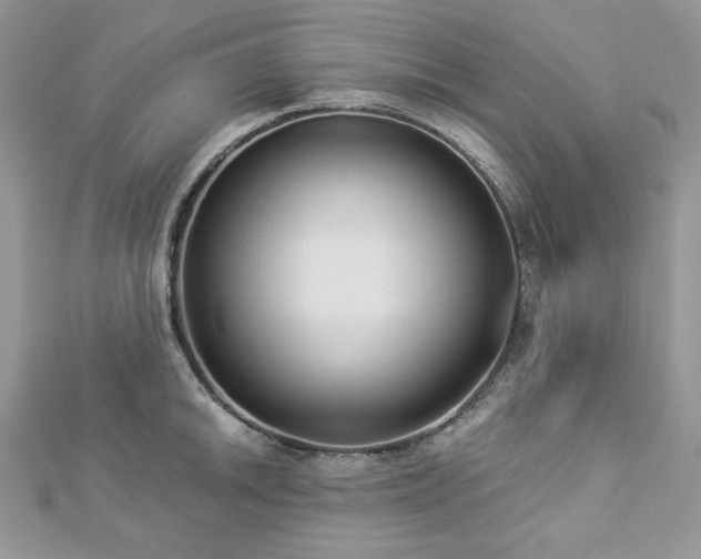 X0000112821046200908211202