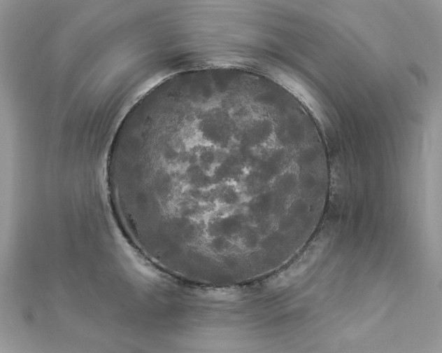 X0000112821047200908211202