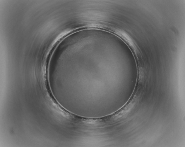 X0000112821048200908211202