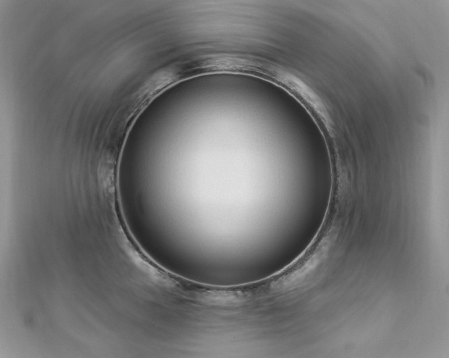 X0000112821049200908211202