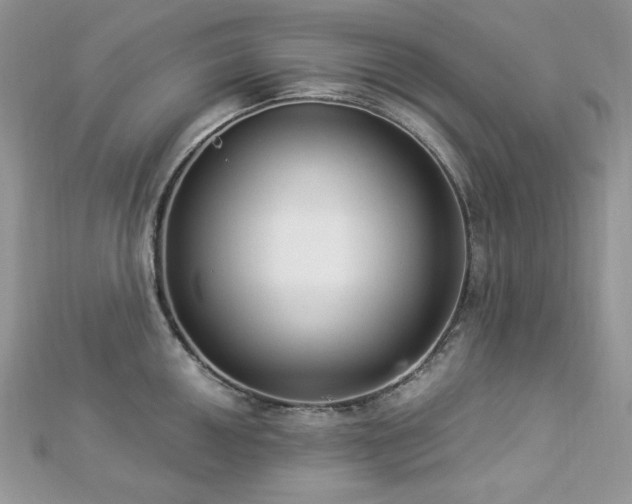 X0000112821050200908211202
