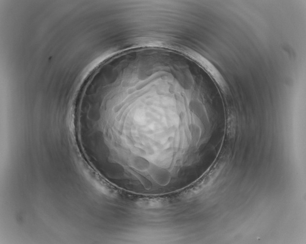 X0000112821051200908211202