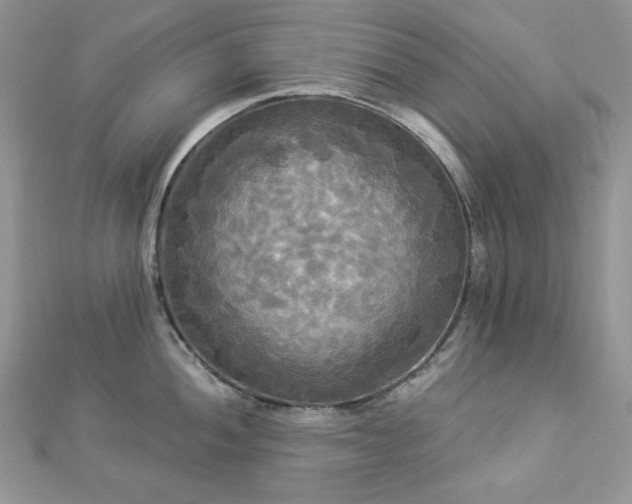 X0000112821052200908211202