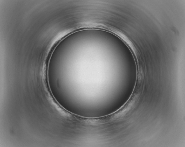 X0000112821053200908211202