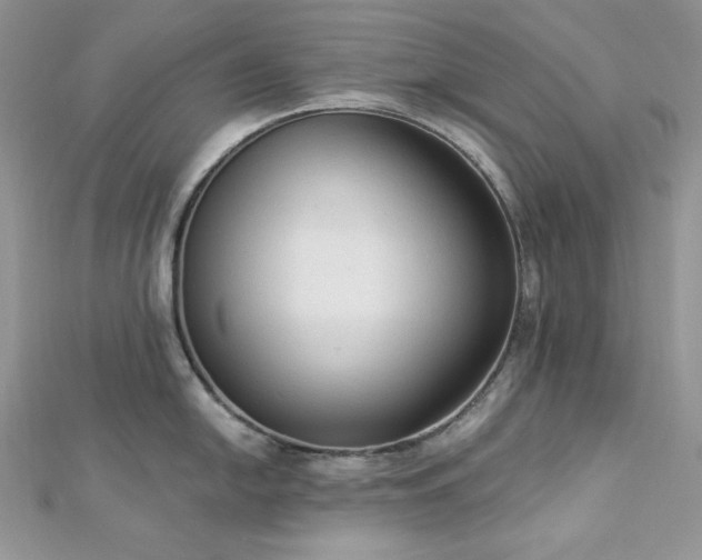 X0000112821054200908211202