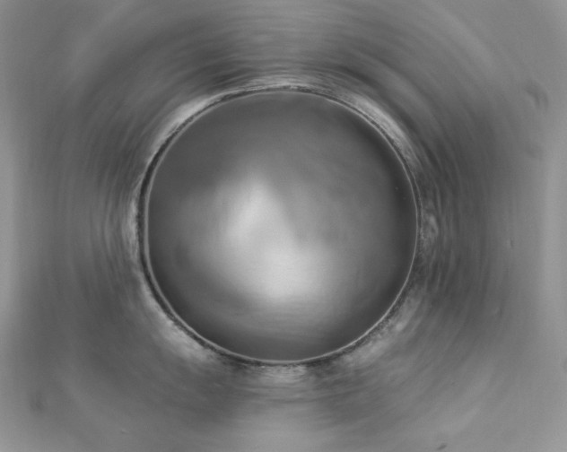 X0000112821055200908211202