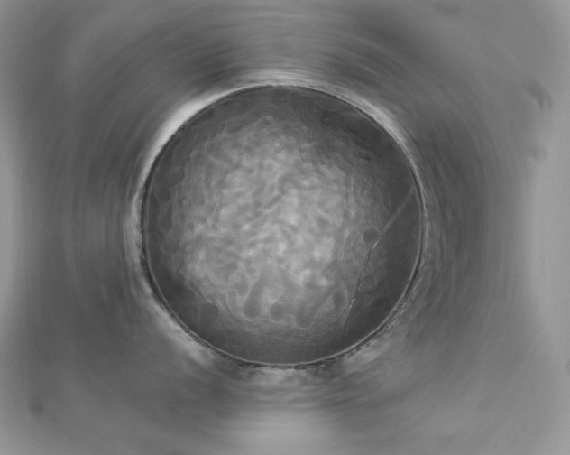 X0000112821056200908211202