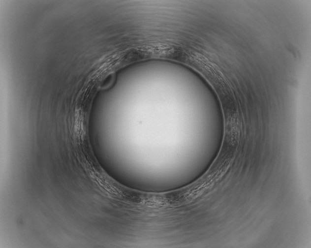 X0000112821058200908211201