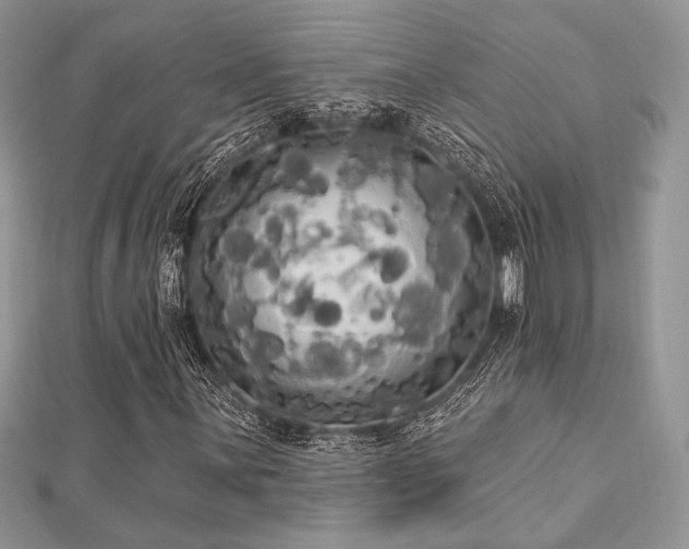 X0000112821059200908211201