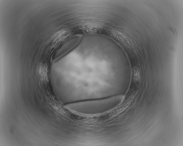 X0000112821060200908211201