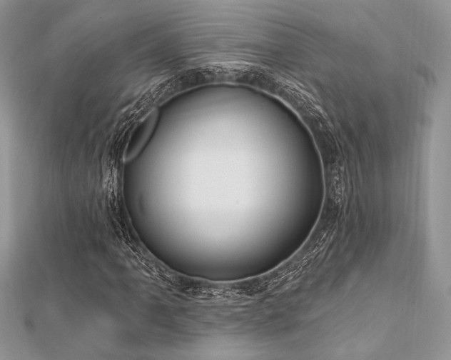 X0000112821061200908211201