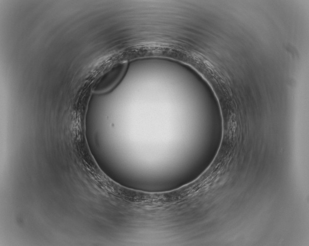 X0000112821062200908211201
