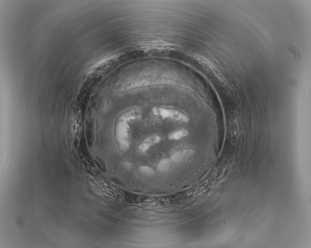 X0000112821063200908211201