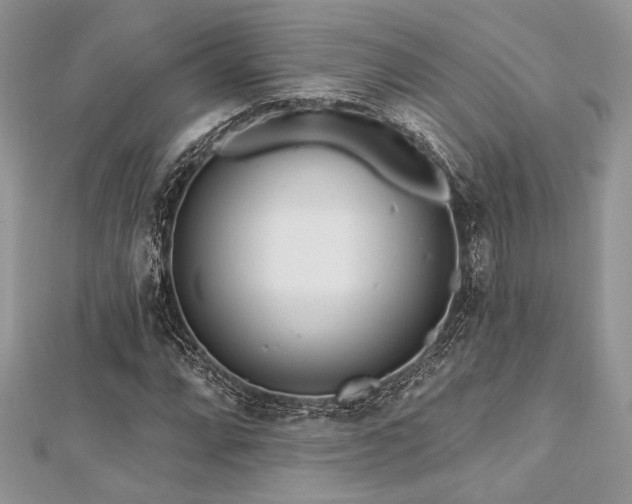 X0000112821064200908211201