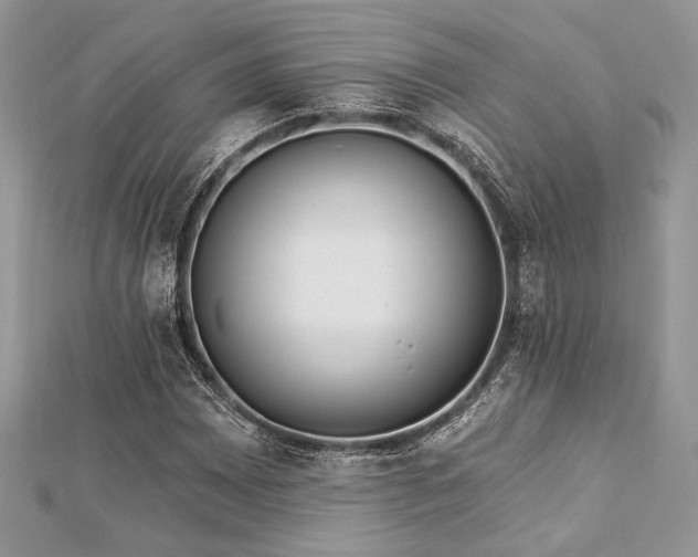 X0000112821065200908211201