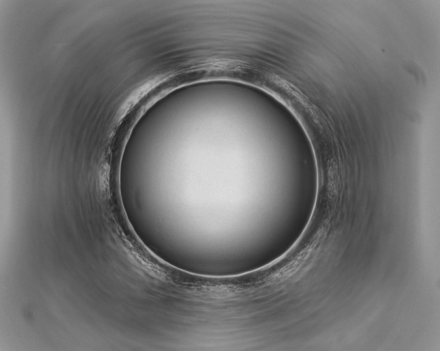 X0000112821066200908211201