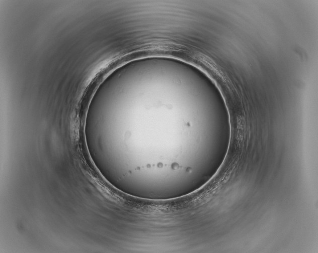 X0000112821067200908211201