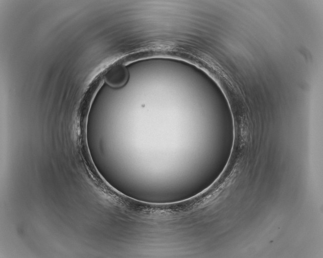 X0000112821070200908211201