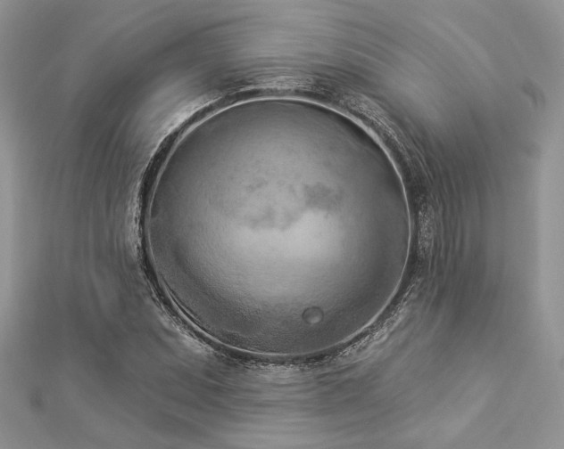 X0000112821071200908211201
