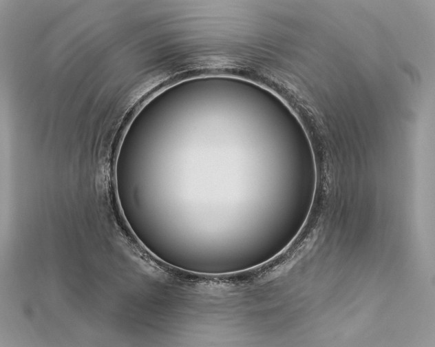 X0000112821073200908211201