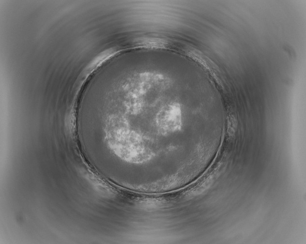 X0000112821074200908211201