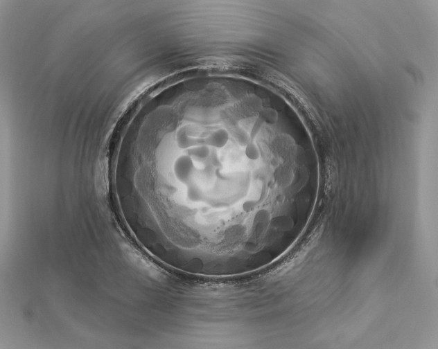 X0000112821075200908211201
