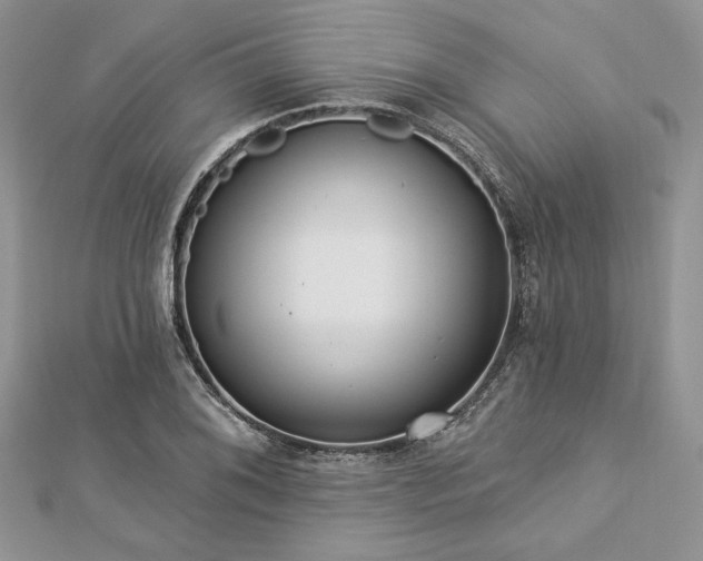 X0000112821076200908211201