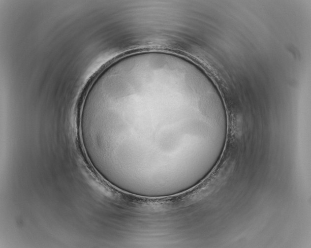 X0000112821078200908211201