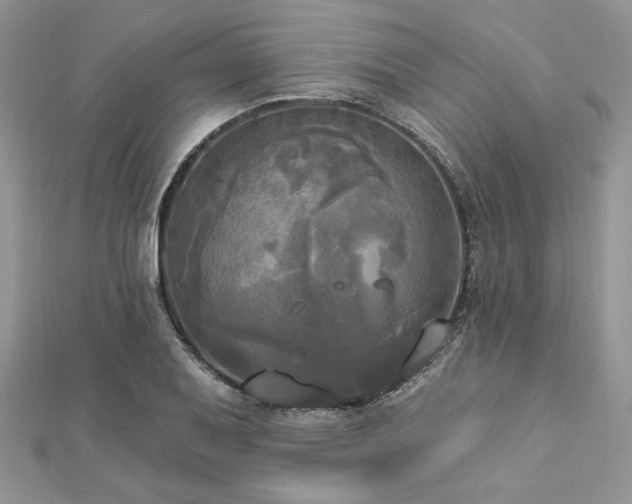 X0000112821079200908211201