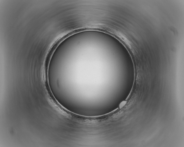 X0000112821080200908211201