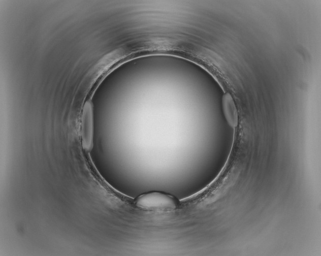 X0000112821081200908211201