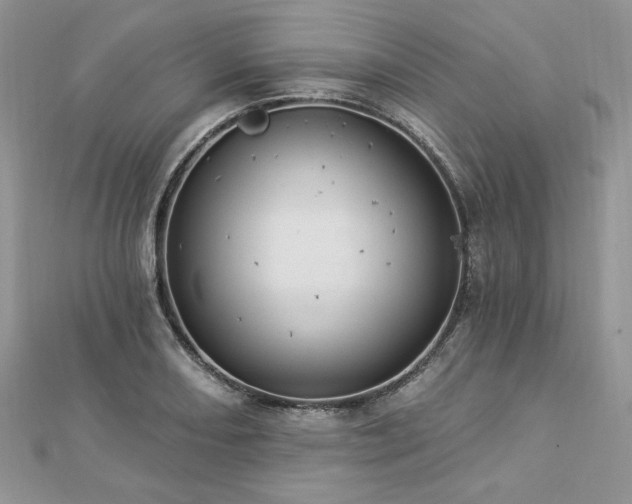 X0000112821082200908211201