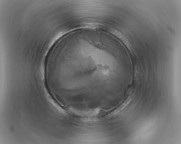 X0000112821083200908211201