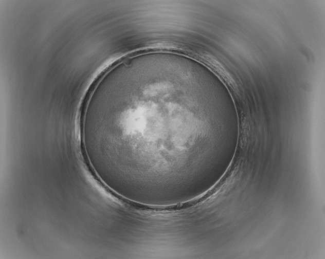 X0000112821084200908211201