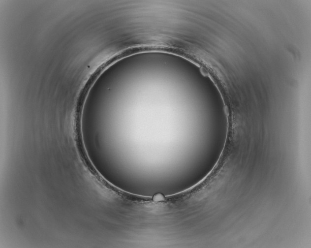 X0000112821085200908211201