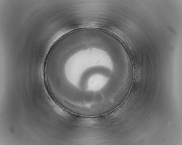 X0000112821086200908211201