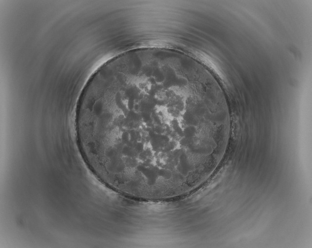 X0000112821087200908211201