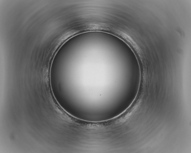 X0000112821089200908211201