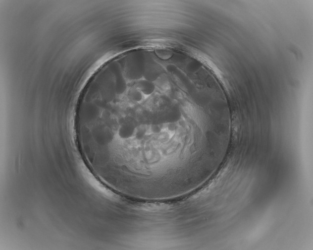 X0000112821091200908211201
