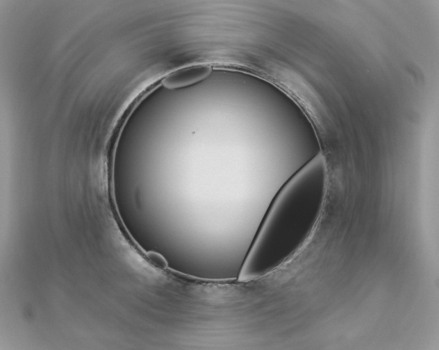 X0000112821092200908211201