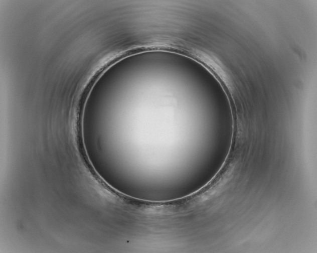 X0000112821093200908211201