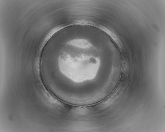 X0000112821094200908211201