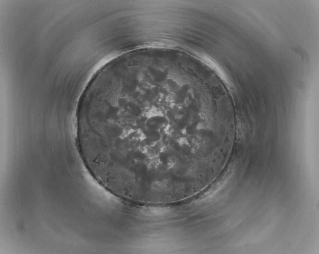 X0000112821095200908211201