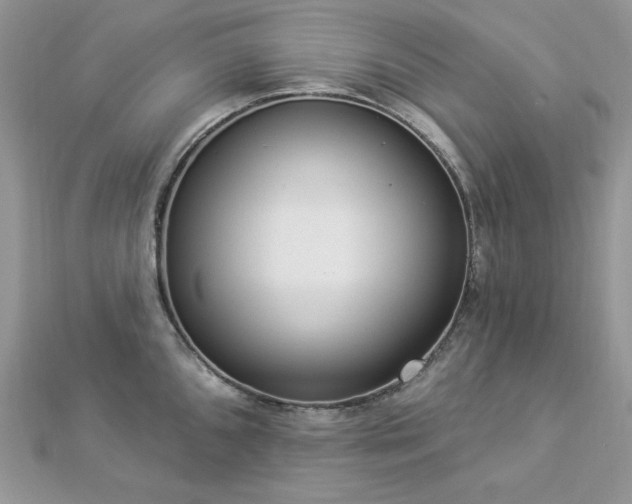 X0000112821096200908211201